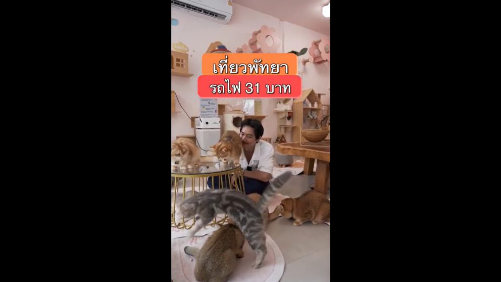 นั่งรถไฟไปพัทยา แบบวันเดย์ทริป มีทั้งร้านเด็ดพัทยา ที่เที่ยวพัทยา